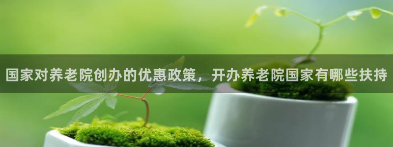韦德的游戏