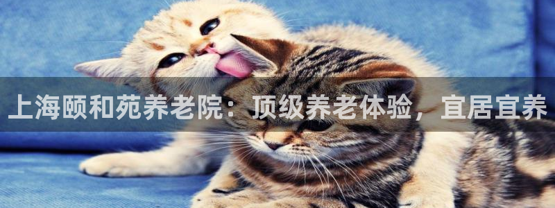 韦德1946下载