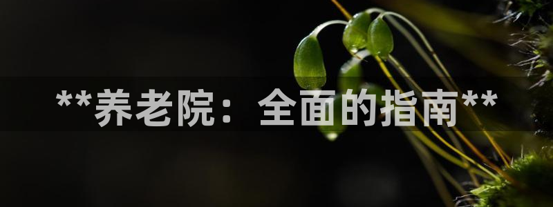 韦德官方网址大全