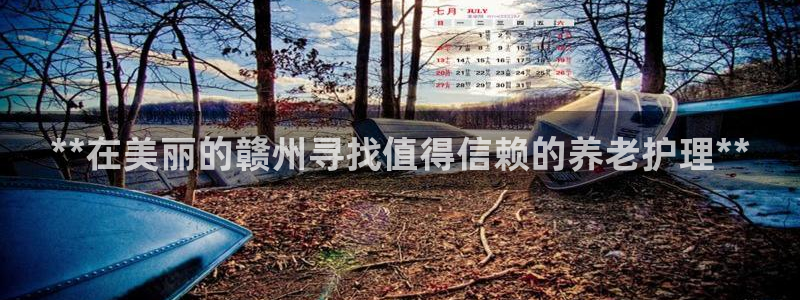 韦德1946手机
