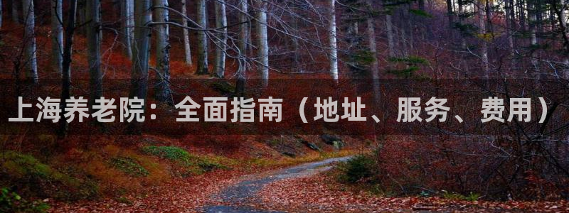 韦德1946网址