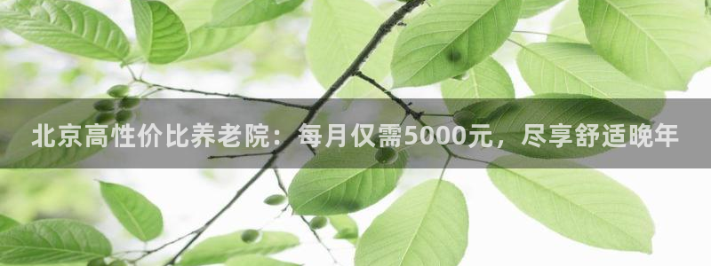 韦德是哪一届