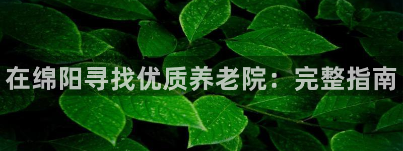 韦德1946手机版