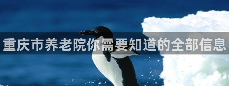 韦德游戏是什么