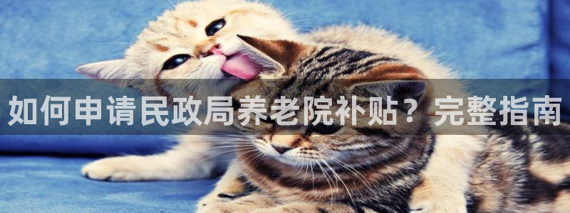 韦德1946