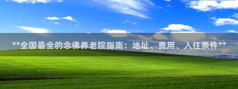 韦德网站是多少