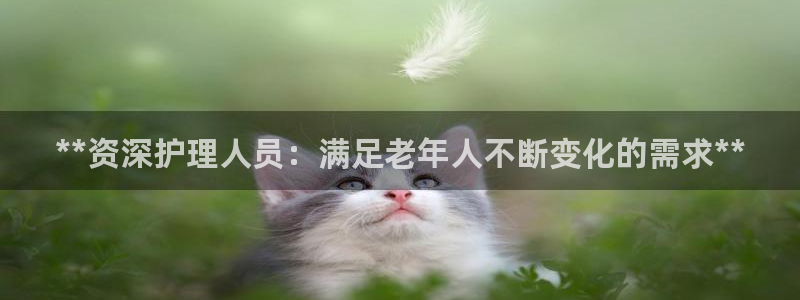 韦德1946国际娱乐