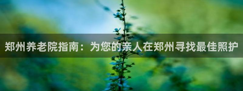 韦德是哪一届