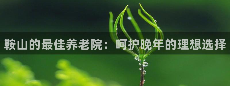 1946韦德游戏