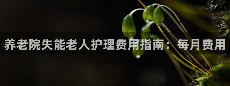韦德观战总决赛G3