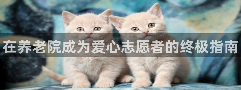 bet韦德1946