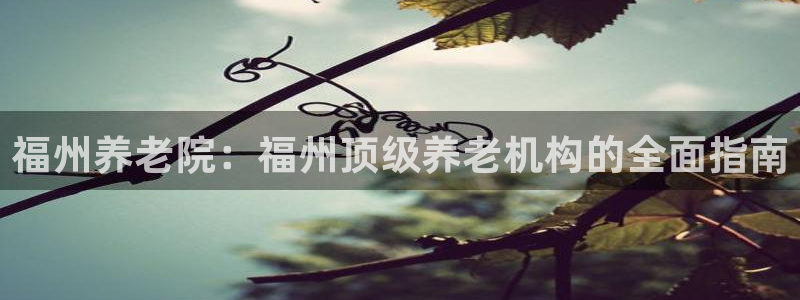 韦德2016