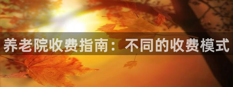 韦德 1946