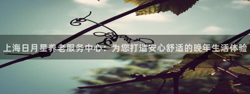 韦德网址是多少