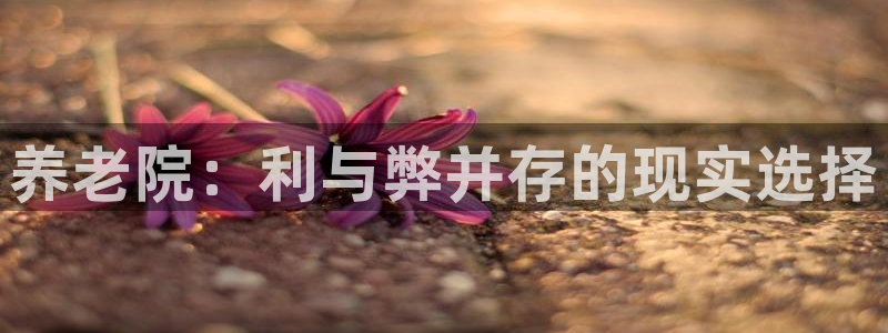 韦德1946体育