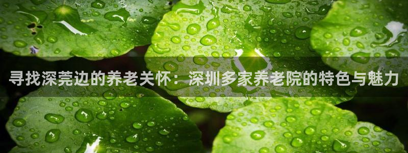 韦德bietview官网