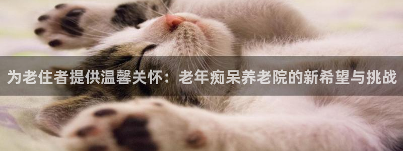 韦德是哪个
